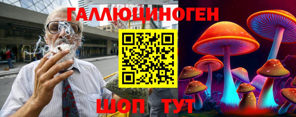 Галлюциногенные грибы Psilocybine cubensis Рубцовск