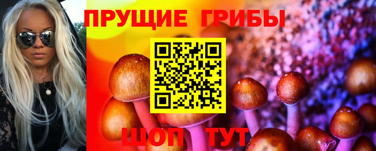 Псилоцибиновые грибы GOLDEN TEACHER  Галлюциногенные грибы мицелий  Рубцовск  Вход с VPN 